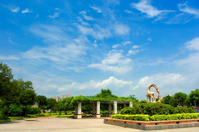 “圍捕雪豹”“漂流小孩哥大鬧幼兒園”等都是謠言！10起網(wǎng)絡(luò)謠言案件公布