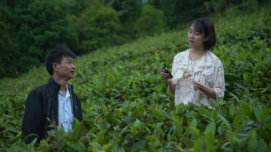 這位“全能型”記者不簡(jiǎn)單！她用執(zhí)著與熱情記錄著仁化的發(fā)展