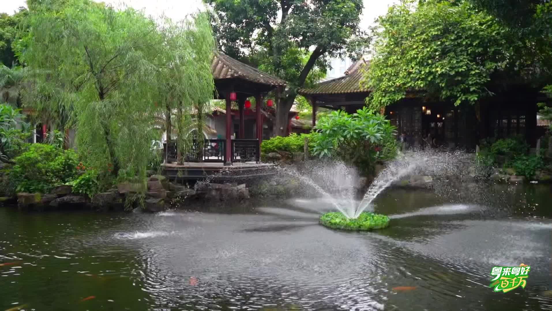 【粵來粵好百千萬】高高打卡百千萬：大良街道