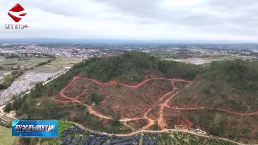 我市已建成森林質(zhì)量精準(zhǔn)提升大斑塊27個(gè)面積  7.82萬(wàn)畝